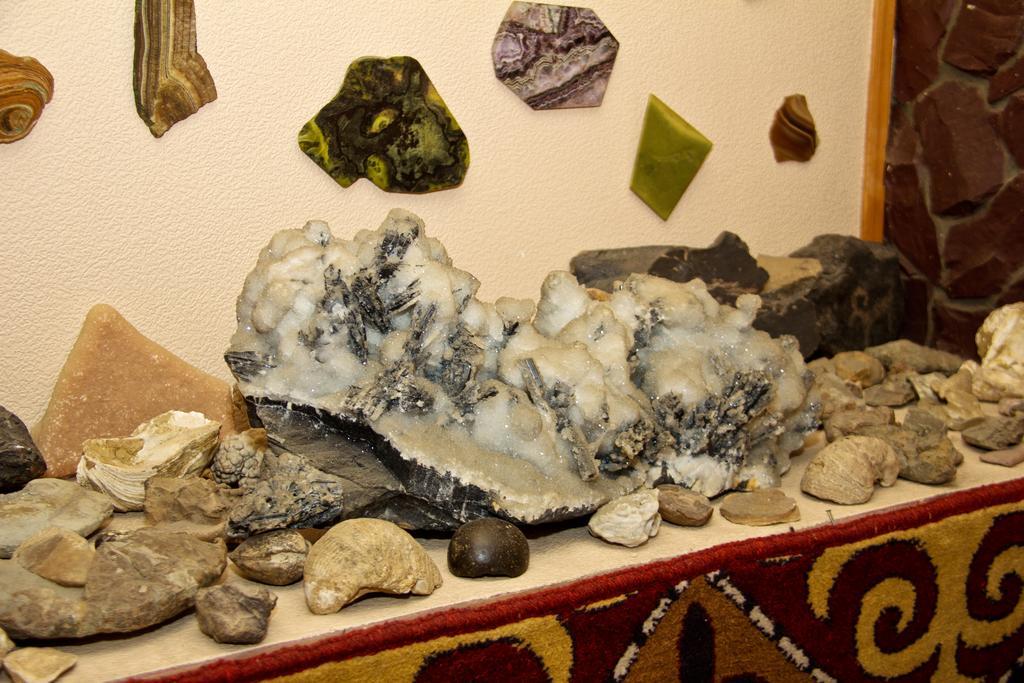 Asian Mountains Bişkek Dış mekan fotoğraf